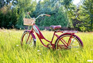 https://pixabay.com/photos/red-bike-vintage-bicycle-bicycle-3498606/